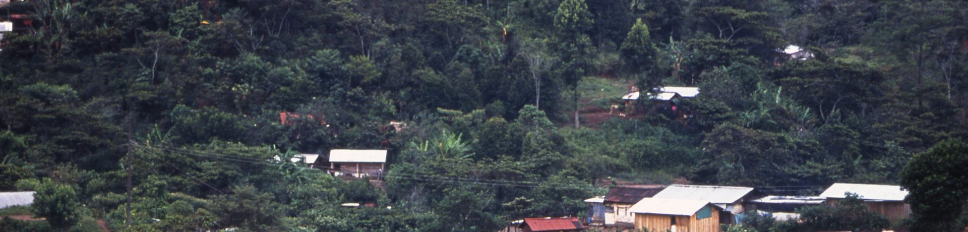 Mexico – Chiapas 2001